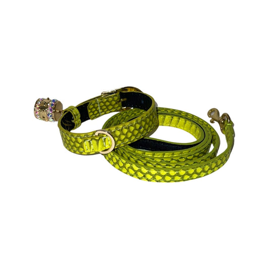 XS 7β-14β Light Neon Green Custom Snake Collar/Custom Gold Italian Hardware & Leash Set. Including Swarovski Crystal Charm