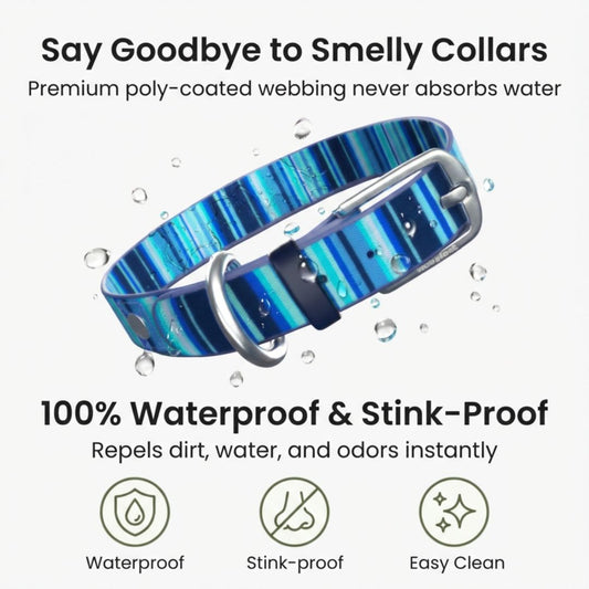 Waterproof Dog Collars β Washable Dog Collar, Stink-Proof & Durable