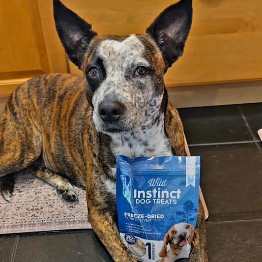 Freeze-Dried Turkey Liver Dog Treats | Single-Ingredient