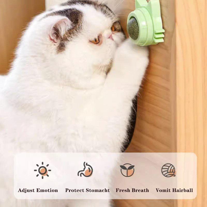 Interactive Catnip Lick Ball | Wall-Mounted Cat Toy