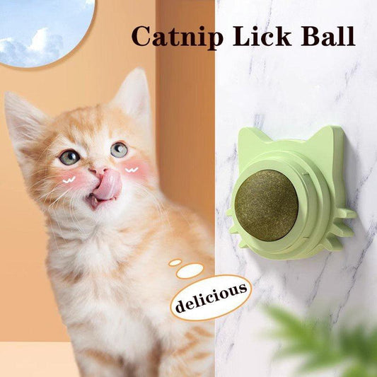 Interactive Catnip Lick Ball | Wall-Mounted Cat Toy
