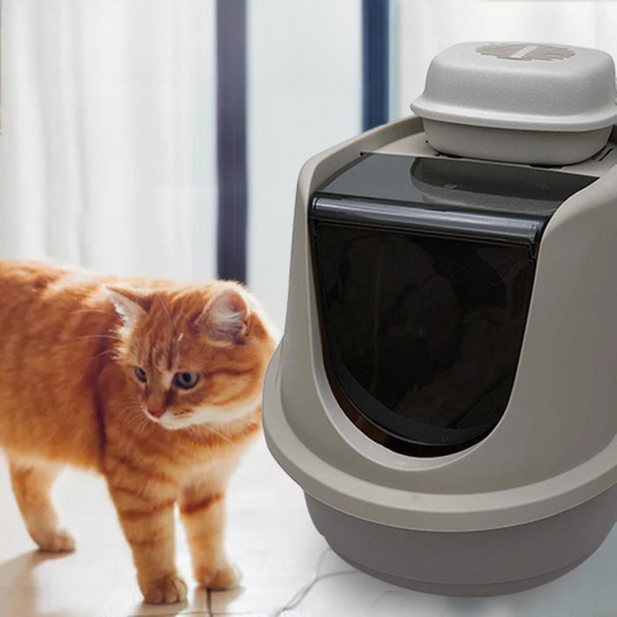 Litter Box Air Purifier