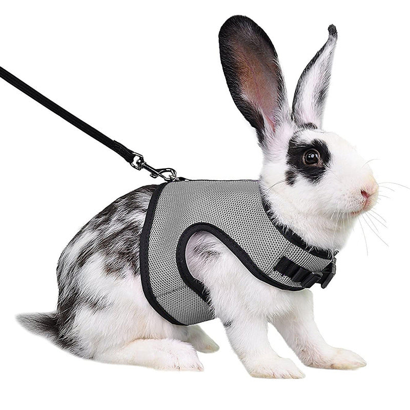 Guinea Pig Rabbit Rope Minipet Traction Vest Chest Back