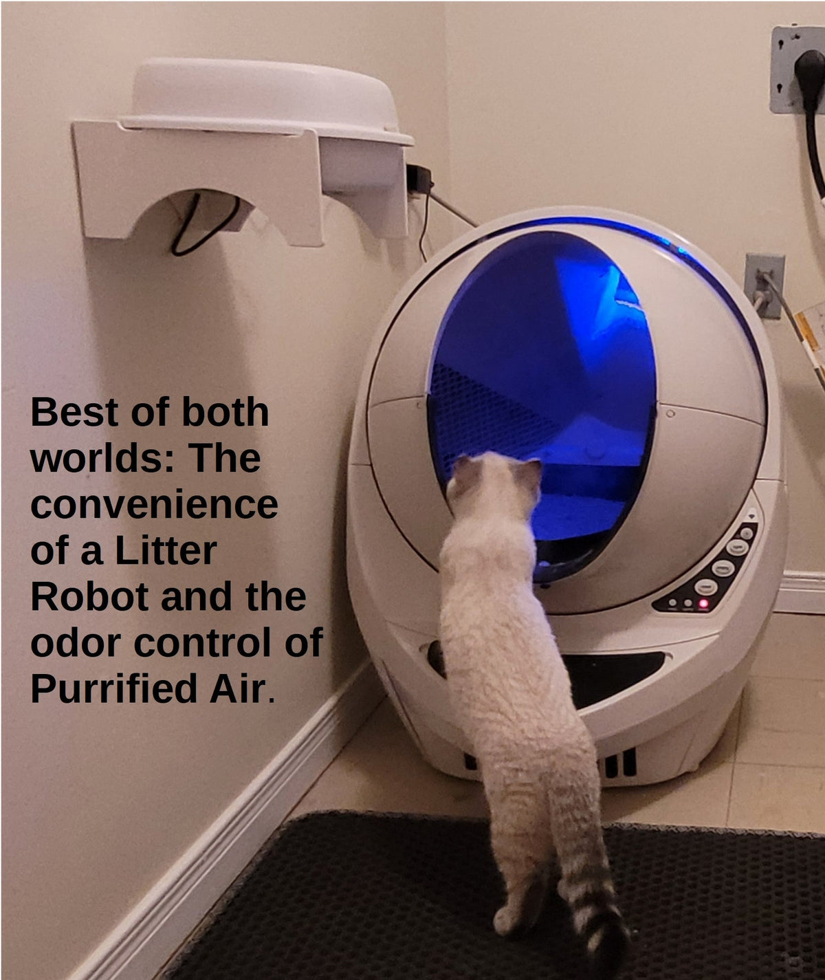 Litter Box Air Purifier