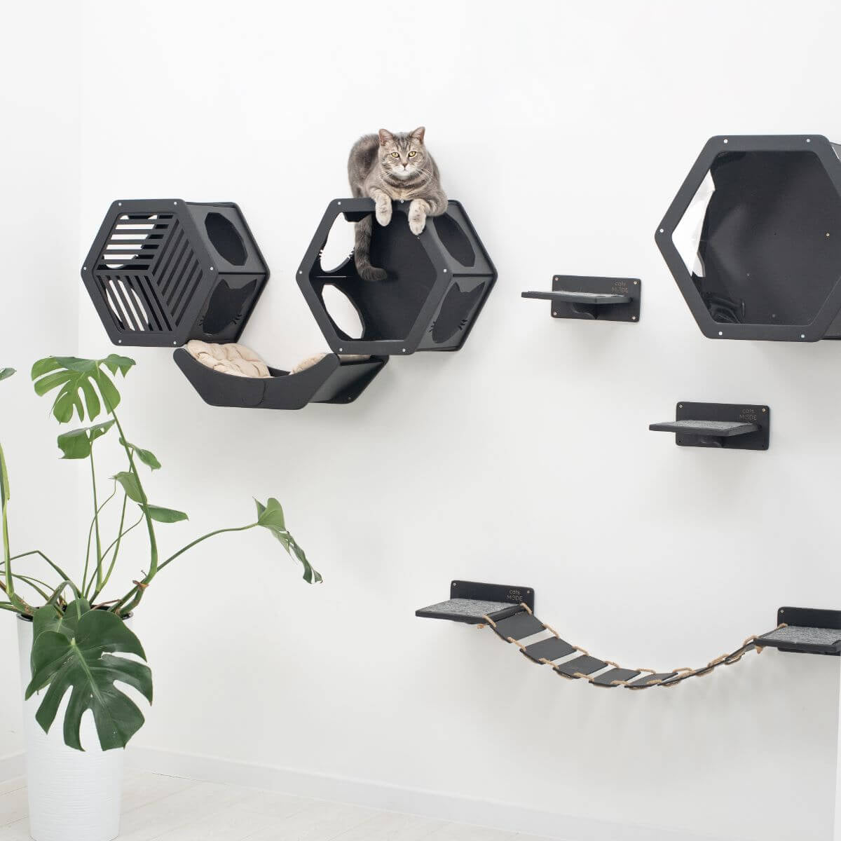 Cat Curve Wall Bed Black